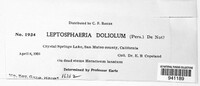 Leptosphaeria doliolum image